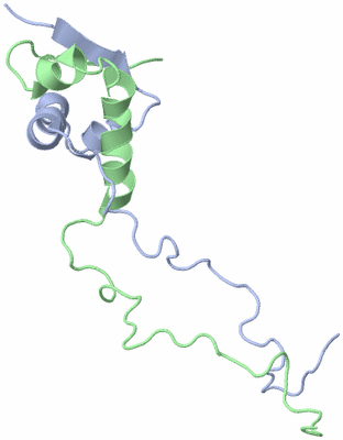 Image NMR Structure - model 1