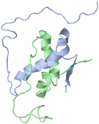 Image NMR Structure - all models