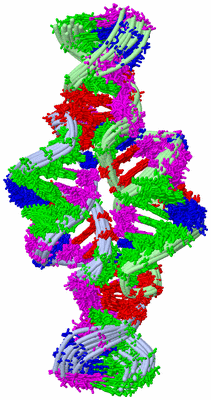 Image NMR Structure - all models