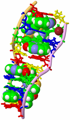 Image Biological Unit 1