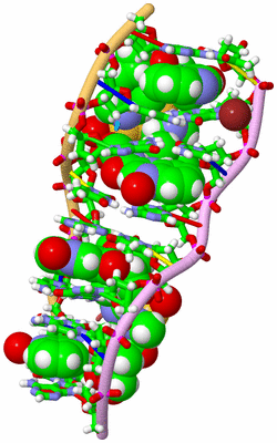 Image Biol. Unit 1 - sites