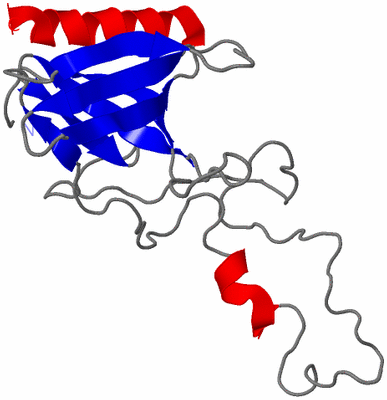 Image NMR Structure - model 1