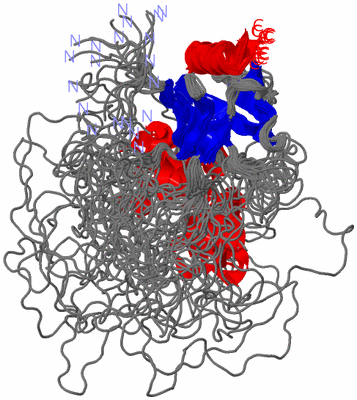 Image NMR Structure - all models