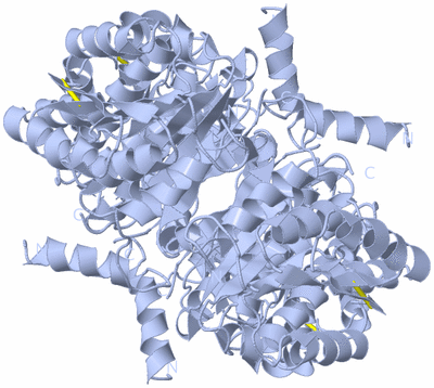 Image Biological Unit 2