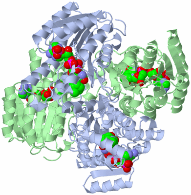 Image Biological Unit 2