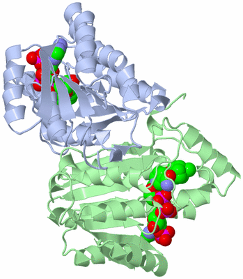 Image Biological Unit 3