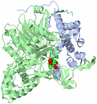 Image Asym./Biol. Unit - sites