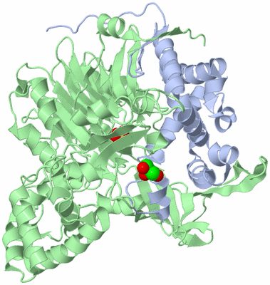 Image Asym./Biol. Unit