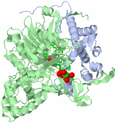 Image Asym./Biol. Unit - sites