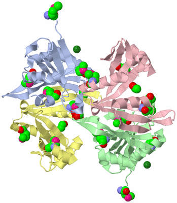 Image Asym./Biol. Unit