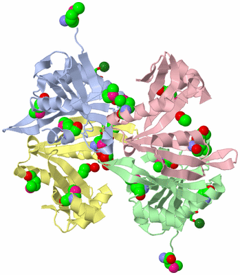 Image Asym./Biol. Unit - sites