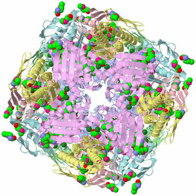 Image Biological Unit 1