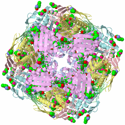 Image Biol. Unit 1 - sites