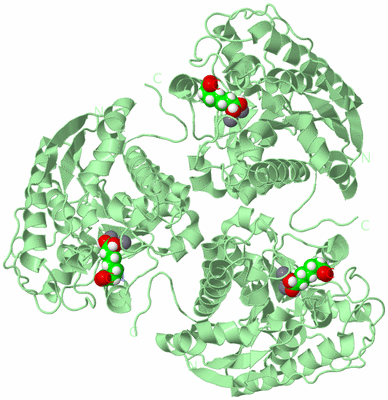 Image Biological Unit 2