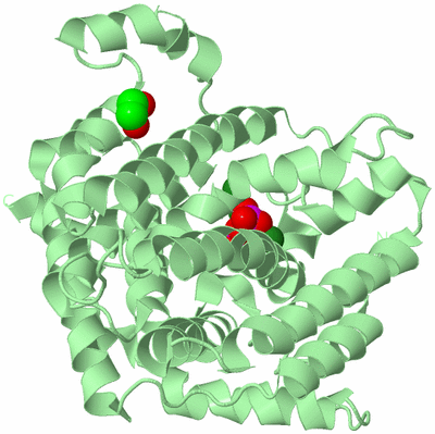 Image Biological Unit 2