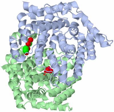 Image Biological Unit 3