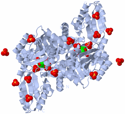 Image Biological Unit 1