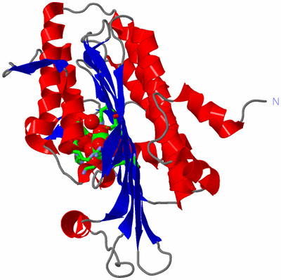 Image Asym. Unit - sites