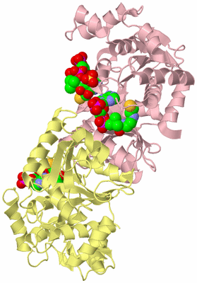 Image Asym./Biol. Unit