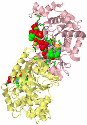 Image Asym./Biol. Unit - sites