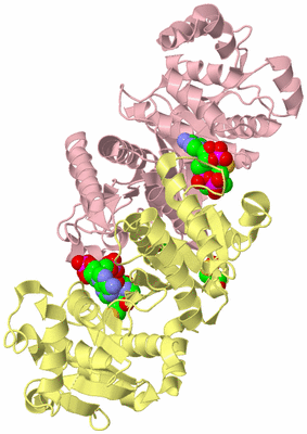 Image Asym./Biol. Unit