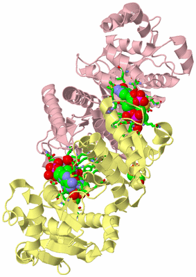 Image Asym./Biol. Unit - sites