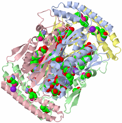 Image Biological Unit 1