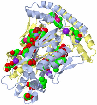 Image Biological Unit 10