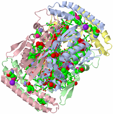 Image Biol. Unit 1 - sites