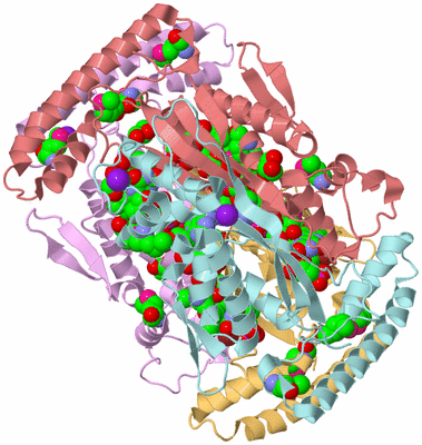 Image Biological Unit 2