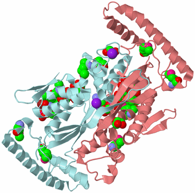 Image Biological Unit 3