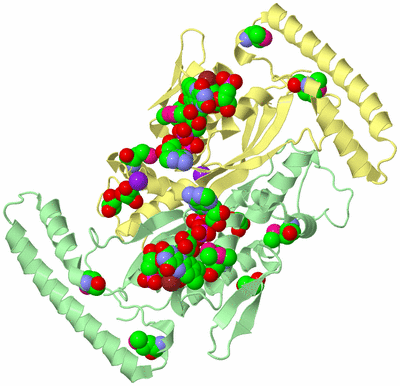 Image Biological Unit 5