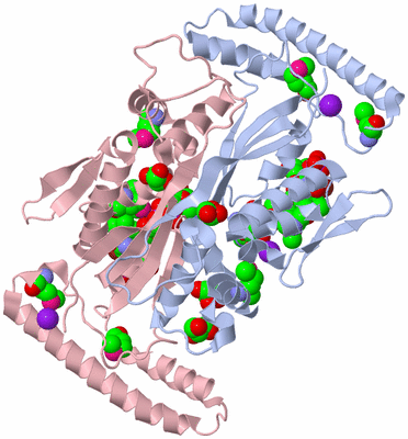 Image Biological Unit 6