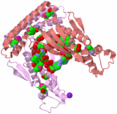 Image Biological Unit 7