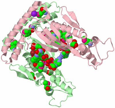 Image Biological Unit 8