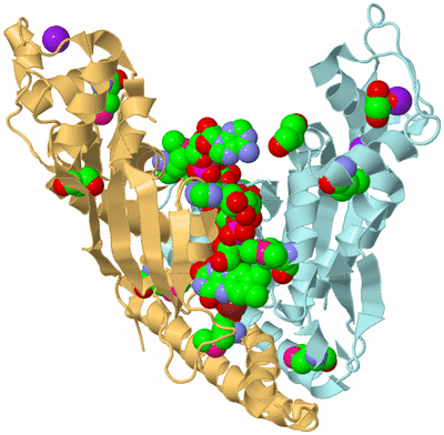 Image Biological Unit 9