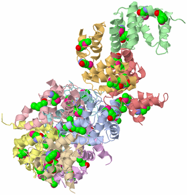 Image Asymmetric Unit