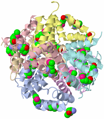 Image Biological Unit 1
