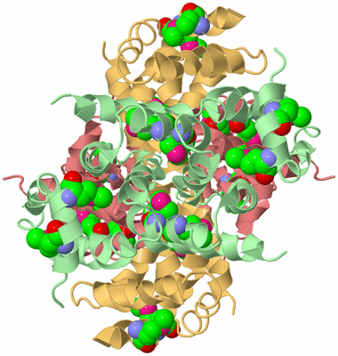Image Biological Unit 2