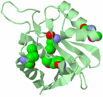 Image Biological Unit 2