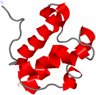 Image NMR Structure - model 1