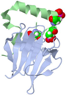 Image NMR Structure - model 1