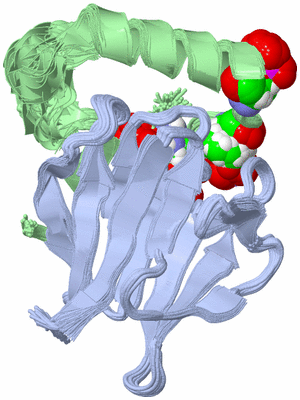 Image NMR Structure - all models