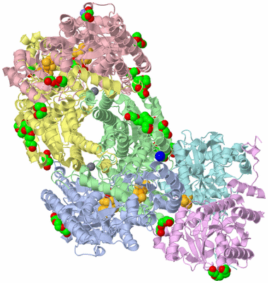 Image Asym./Biol. Unit