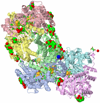 Image Asym./Biol. Unit - sites