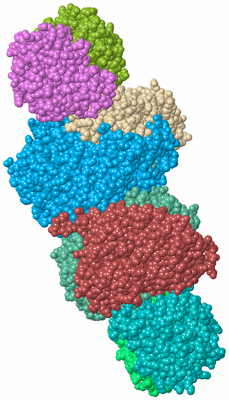 Image Biological Unit 2