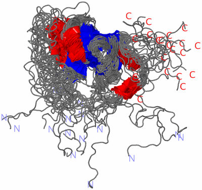 Image NMR Structure - all models