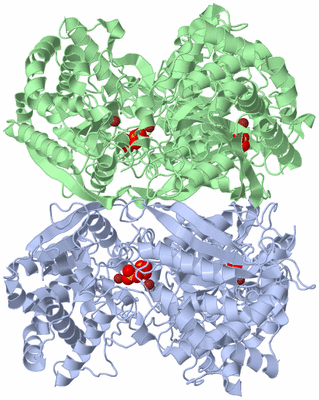 Image Biological Unit 3