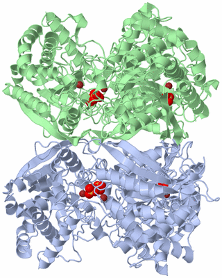 Image Biological Unit 3