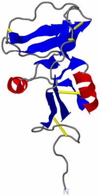 Image NMR Structure - model 1
